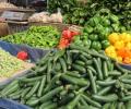 خضراوات في أسواق غزة