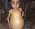 الطفل محمد مسلم