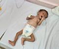 الطفل محمد محمد قويدر