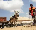فتح باب التسجيل للاستفادة من فرص تشغيل مؤقت
