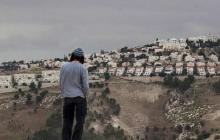 صورة من الأرشيف