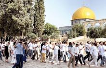 المسجد الأقصى يشهد اقتحامات شبه يومية من المستوطنين