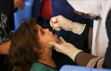 صورة من الأرشيف