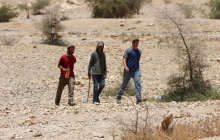 مستوطنون يقتحمون موقع "تل ماعين" الأثري بالخليل