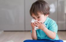 النظام الغذائي الجيد يساهم في تقوية جهاز المناعة والتصدي لنزلات البرد