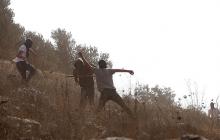 صورة من الأرشيف