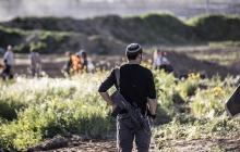 صورة من الأرشيف