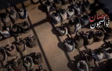 صورة من الأرشيف