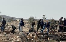 صورة من الأرشيف