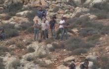 صورة من الأرشيف