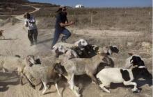 صورة من الأرشيف