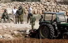 مستوطنون يعتدون على ممتلكات فلسطينية بحماية جنود الاحتلال