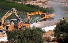 اقتلاع أشجار زيتون في الضفة الغربية