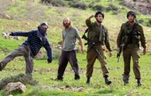 مستوطنون يعتدون على فلسطينيين بحماية قوات الاحتلال