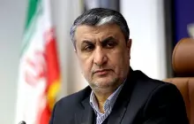 رئيس منظمة الطاقة الذرية الإيرانية محمد إسلامي