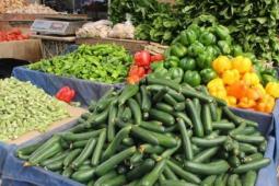 خضراوات في أسواق غزة