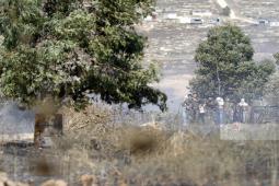 المستوطنون نفذوا 485 عملية تخريب وسرقة لممتلكات فلسطينيين خلال نوفمبر الماضي