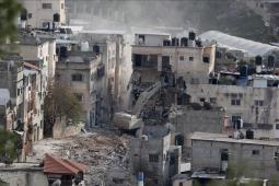 صورة من الأرشيف