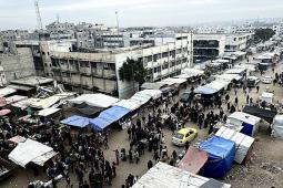 صورة من الأرشيف