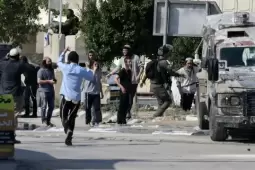 صورة من الأرشيف