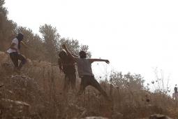 صورة من الأرشيف