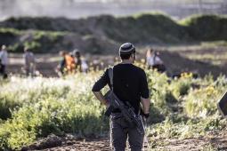 صورة من الأرشيف