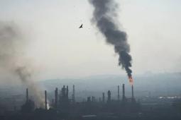 صورة من الأرشيف