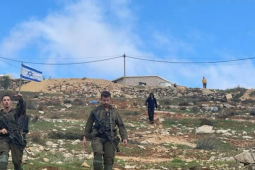 صورة من الأرشيف