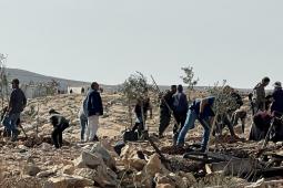 صورة من الأرشيف