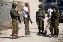 صورة من الأرشيف