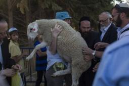 حملات إسرائيلية متصاعدة لفرض قربان الفصح