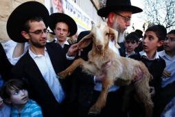 صورة تعبيرية