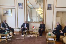 وفد قيادي من حماس يزور السفارة الإيرانية في أنقرة