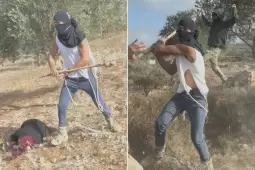 صورة من الأرشيف