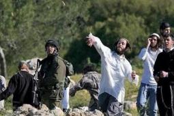 اعتداءات المستوطنين في الضفة بحماية قوات الاحتلال