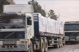 صورة من الأرشيف