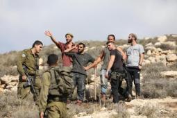 صورة من الأرشيف