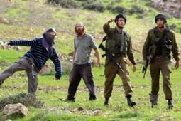 مستوطنون يعتدون على فلسطينيين بحماية قوات الاحتلال