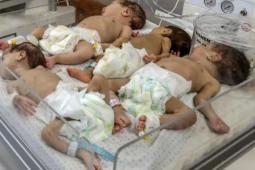 غزة تسجل 5493 مولودًا و203 حالات وفاة خلال أغسطس