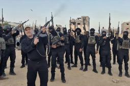 المليشيات المتعاونة مع الاحتلال.
