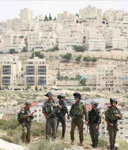 صورة من الأرشيف