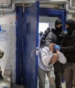 صورة من الأرشيف