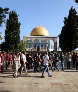 اقتحام المستوطنين باحات الأقصى (أرشيفية)