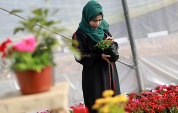 جانب من عمل الفتاة في مشتلها الخاص (عدسة صحيفة فلسطين-تصوير: ياسر فتحي)