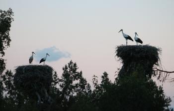 جانب من وادي اللقالق التركي (الأناضول)