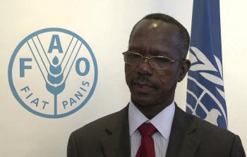 فيصل حسن إبراهيم، مساعد الرئيس السوداني