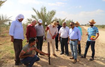 صورة جانبية من التسليم