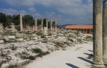 صورة أرشيفية