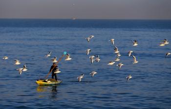 صورة أرشيفية - (أ ف ب)
