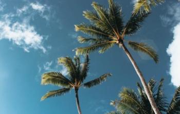 صورة تعبيرية